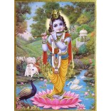Krishna on Lotus